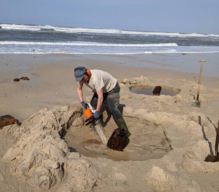 Sawing the tree sample